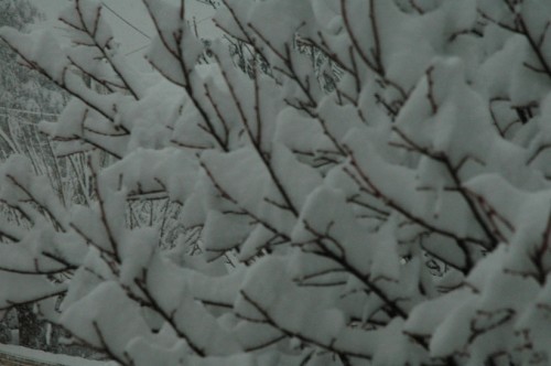 Marignane-sous-la-neige4.jpg