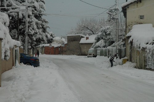 Marignane-sous-la-neige11.jpg