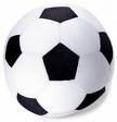 ballon de foot.jpg