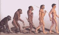 Evolution_homme